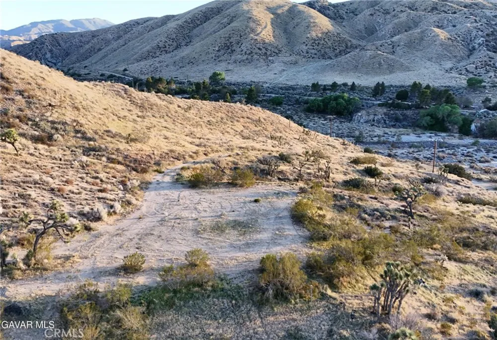 Cheseboro Road Palmdale, CA 93550