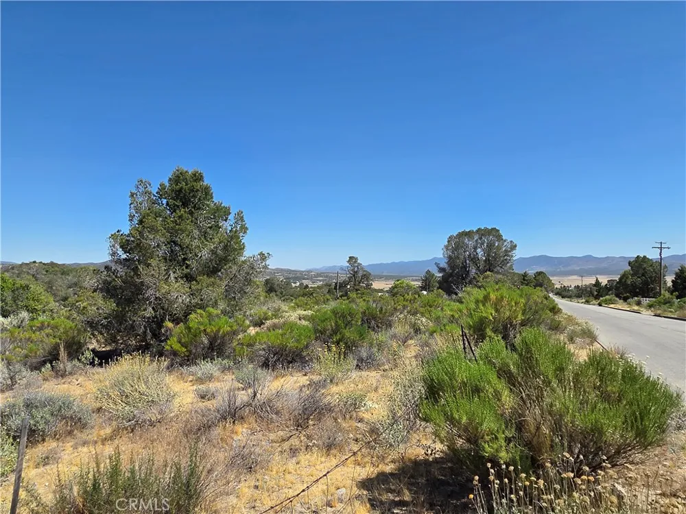 37310 Bohlen Anza, CA 92539