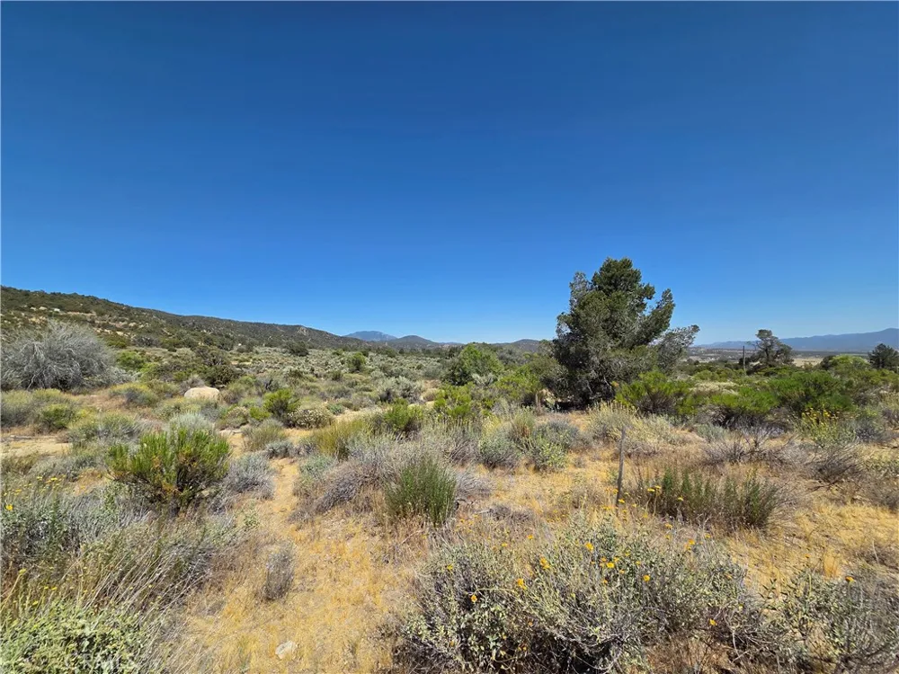 37310 Bohlen Anza, CA 92539