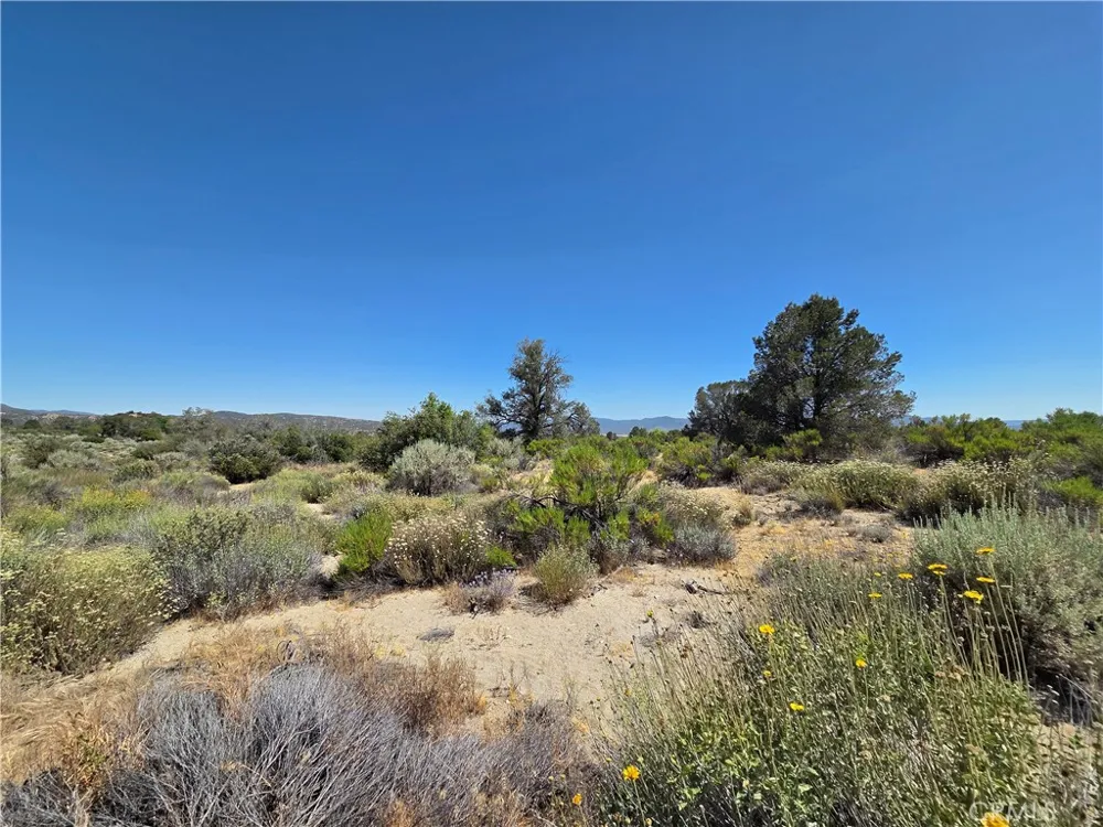 37310 Bohlen Anza, CA 92539