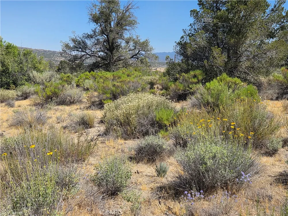37310 Bohlen Anza, CA 92539