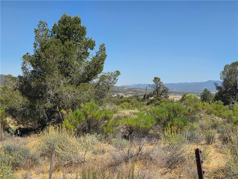 37310 Bohlen Anza, CA 92539