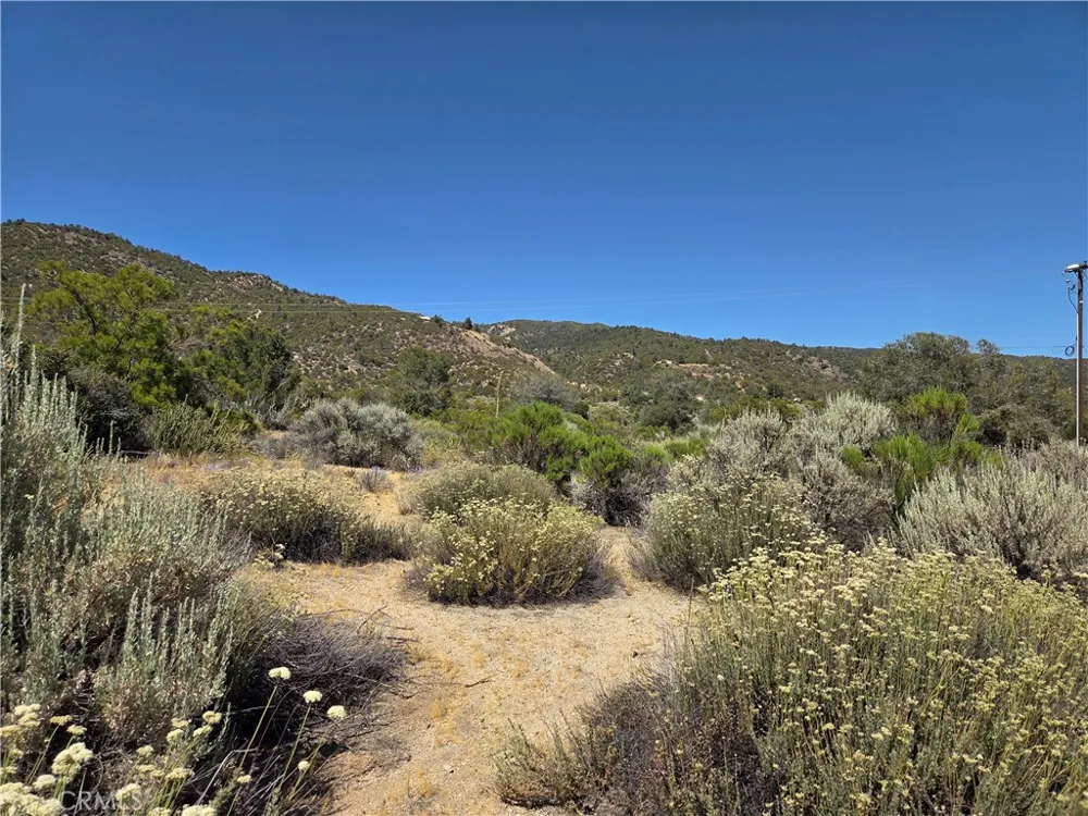 37310 Bohlen Anza, CA 92539