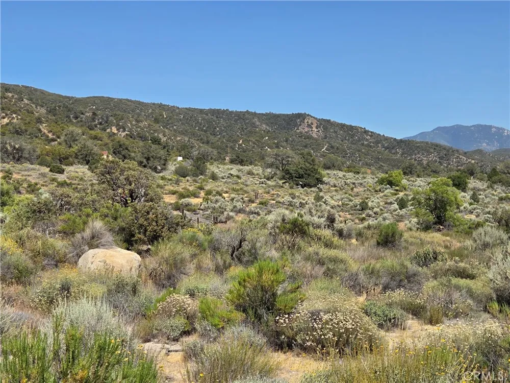 37310 Bohlen Anza, CA 92539