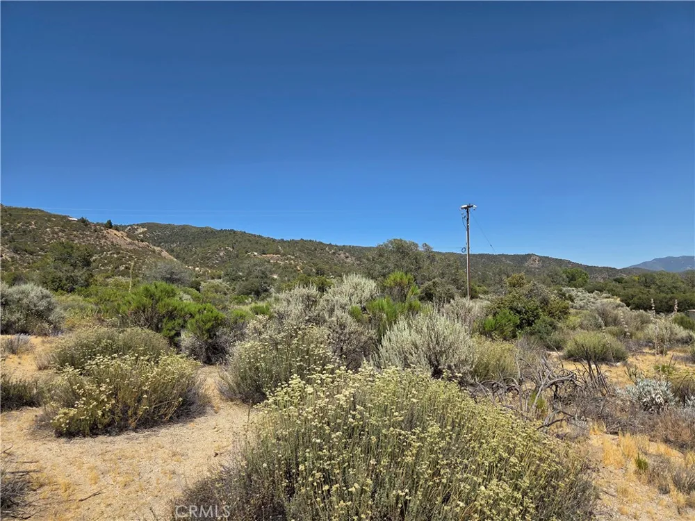 37310 Bohlen Anza, CA 92539