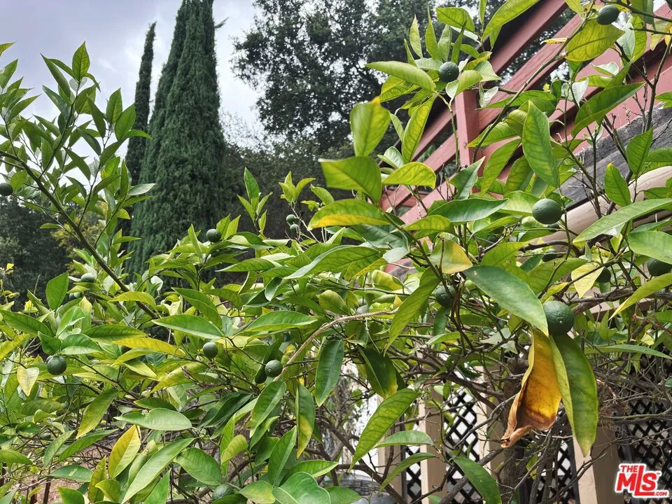 22013 Alta Drive Topanga, CA 90290