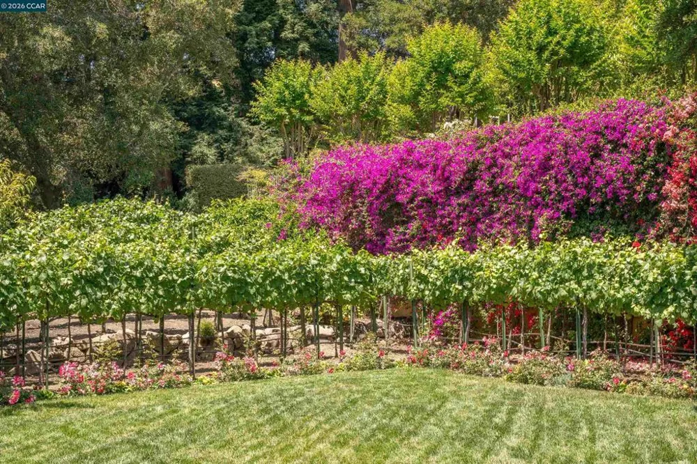 280 Indian Rd Piedmont, CA 94610