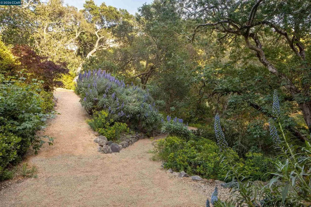 280 Indian Rd Piedmont, CA 94610