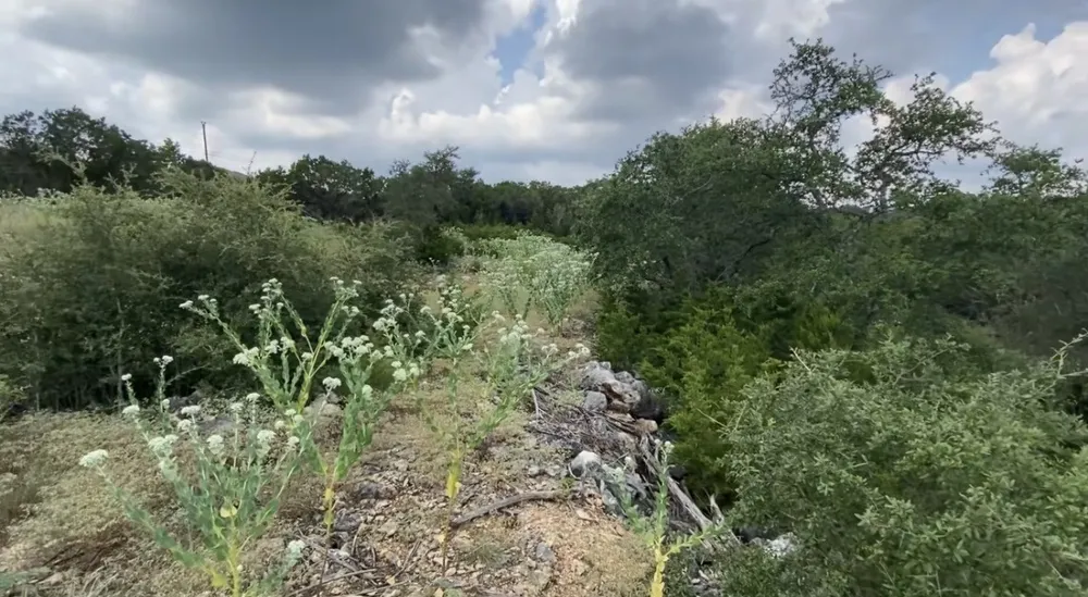 1173 Hilltop Ridge New Braunfels, TX 78132