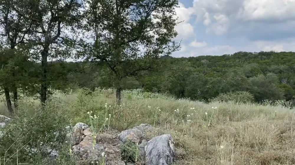 1173 Hilltop Ridge New Braunfels, TX 78132