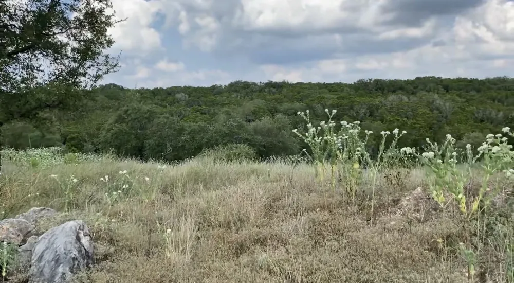 1173 Hilltop Ridge New Braunfels, TX 78132
