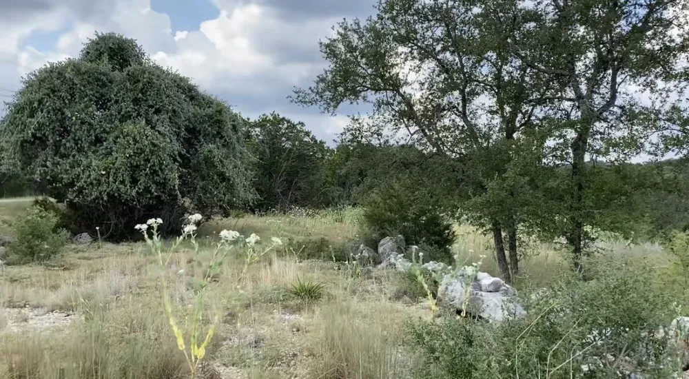 1173 Hilltop Ridge New Braunfels, TX 78132