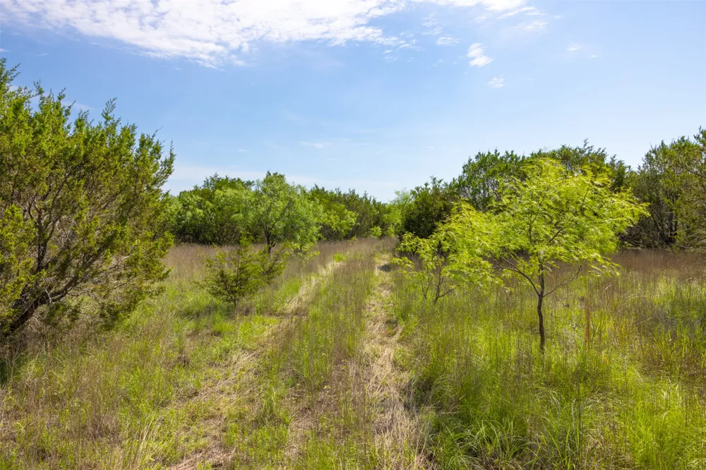 CR 2773 Lometa, TX 76853