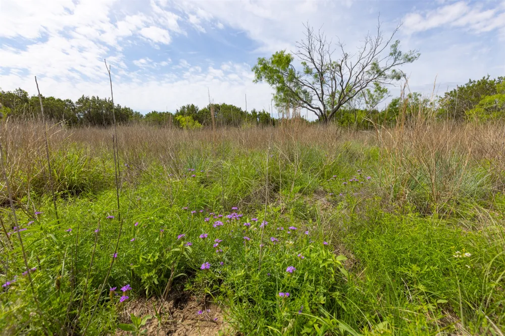 CR 2773 Lometa, TX 76853