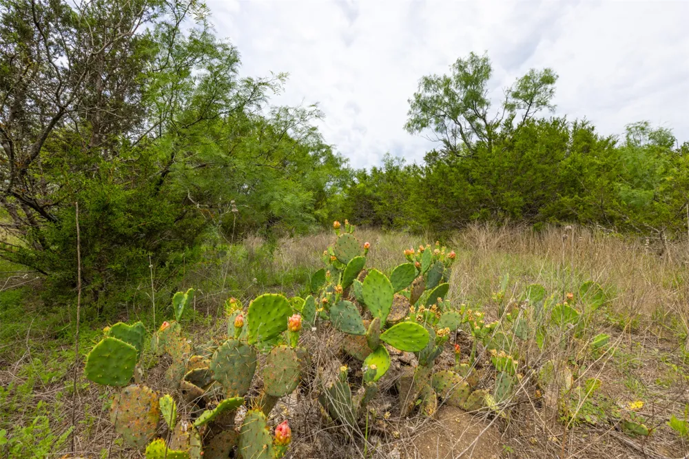 CR 2773 Lometa, TX 76853