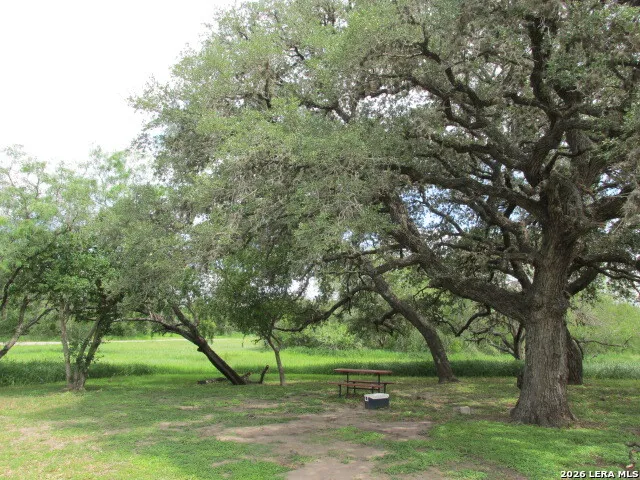 807 W INEZ ST Beeville, TX 78102