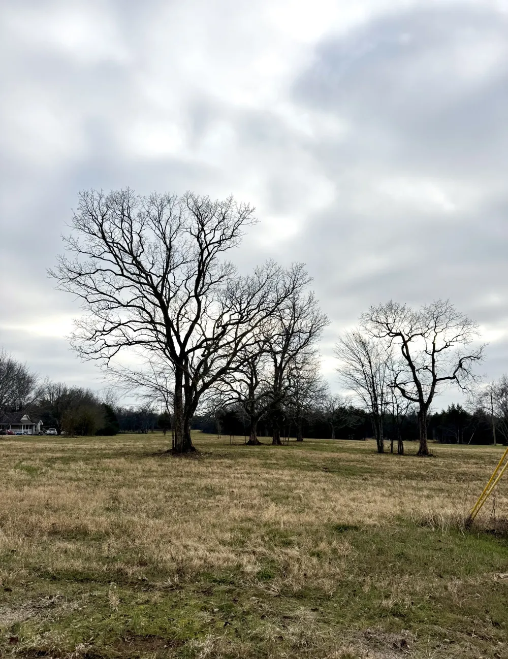 0 Vesta Road Lebanon, TN 37090