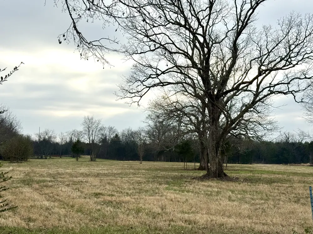 0 Vesta Road Lebanon, TN 37090
