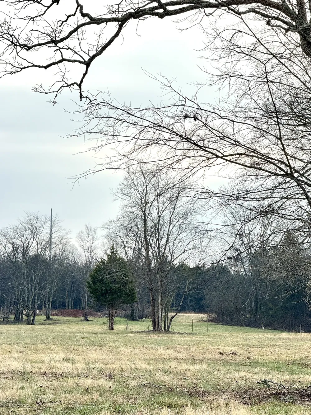 0 Vesta Road Lebanon, TN 37090
