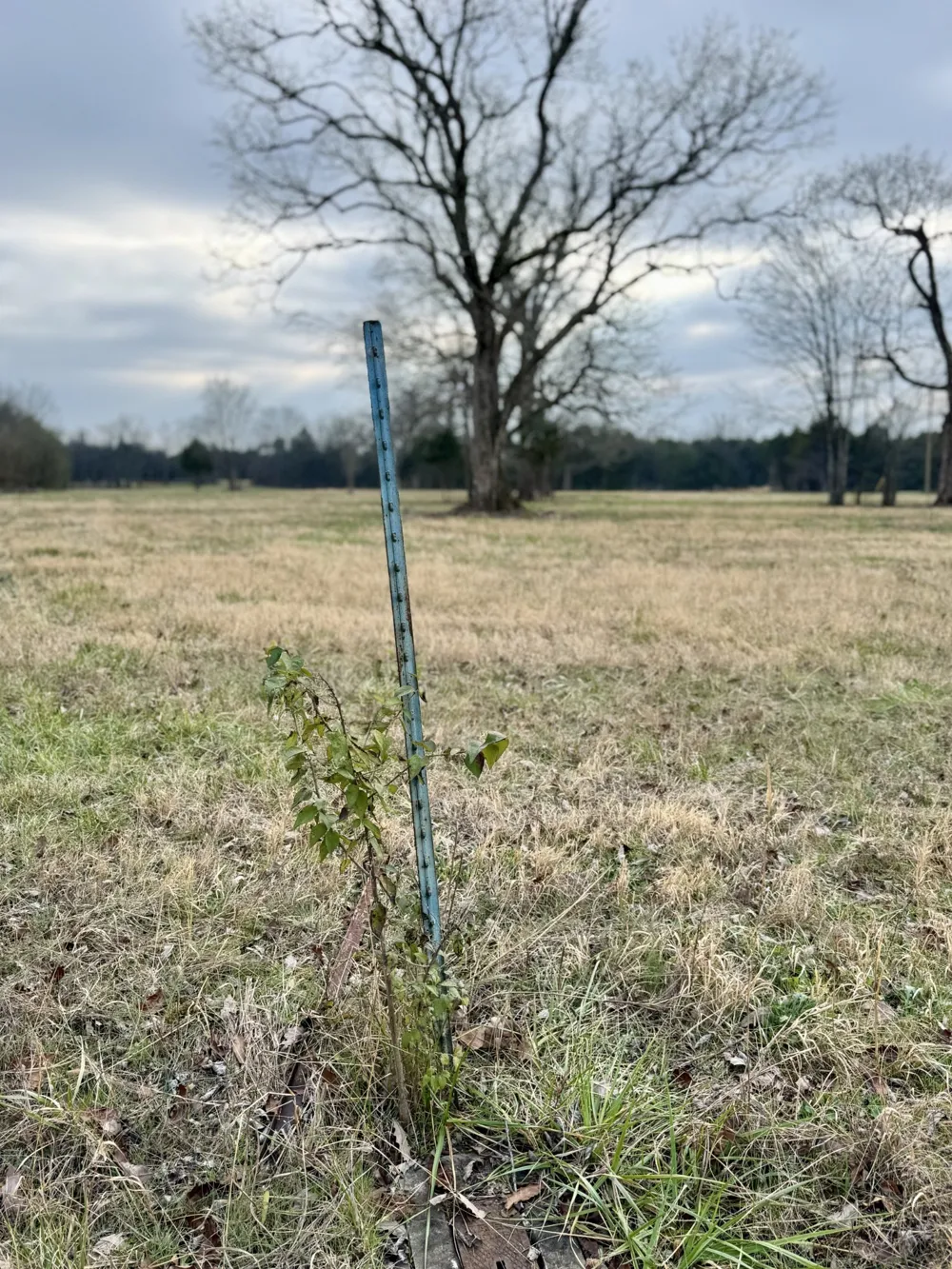 0 Vesta Road Lebanon, TN 37090