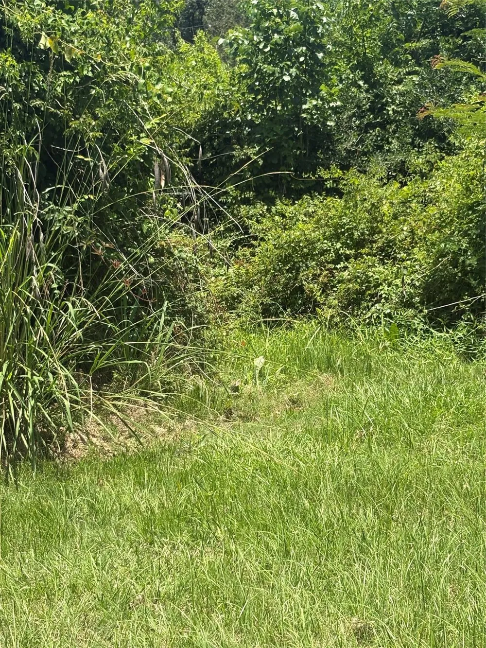 1 Fm 980 S Point Blank, TX 77364