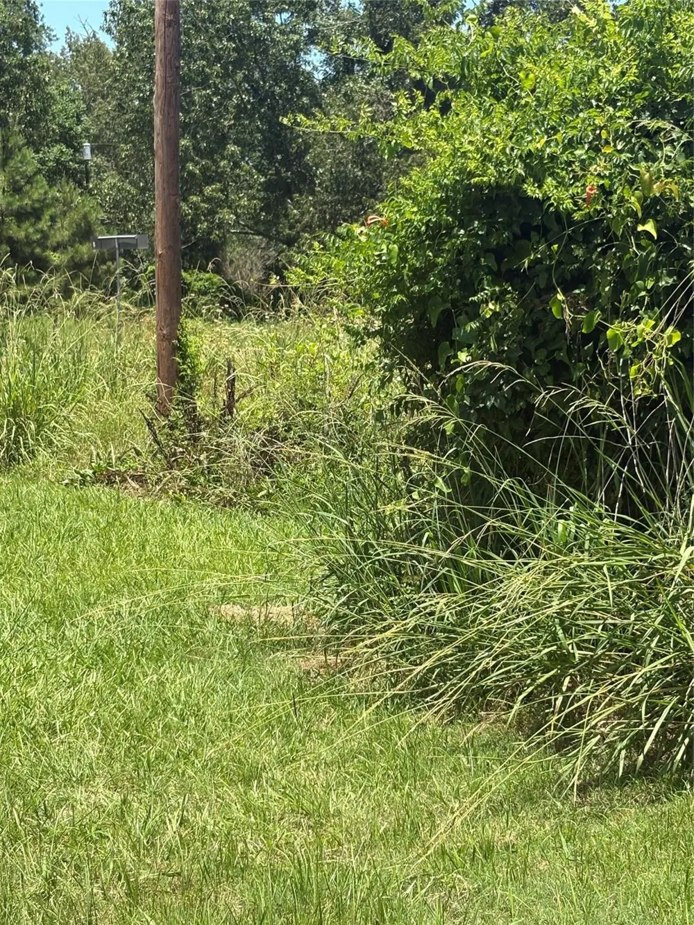 1 Fm 980 S Point Blank, TX 77364