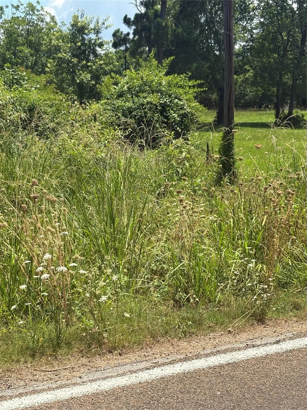 1 Fm 980 S Point Blank, TX 77364
