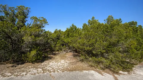 8404 Angus Trail