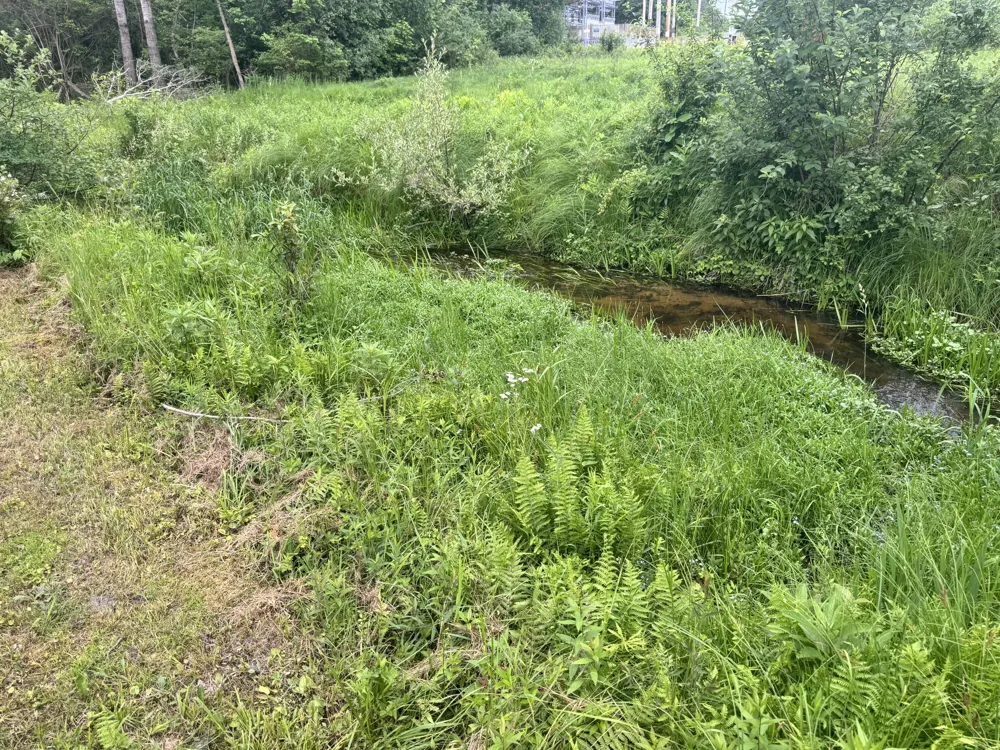 19030 W Almy Road Reynolds Township, MI 49329