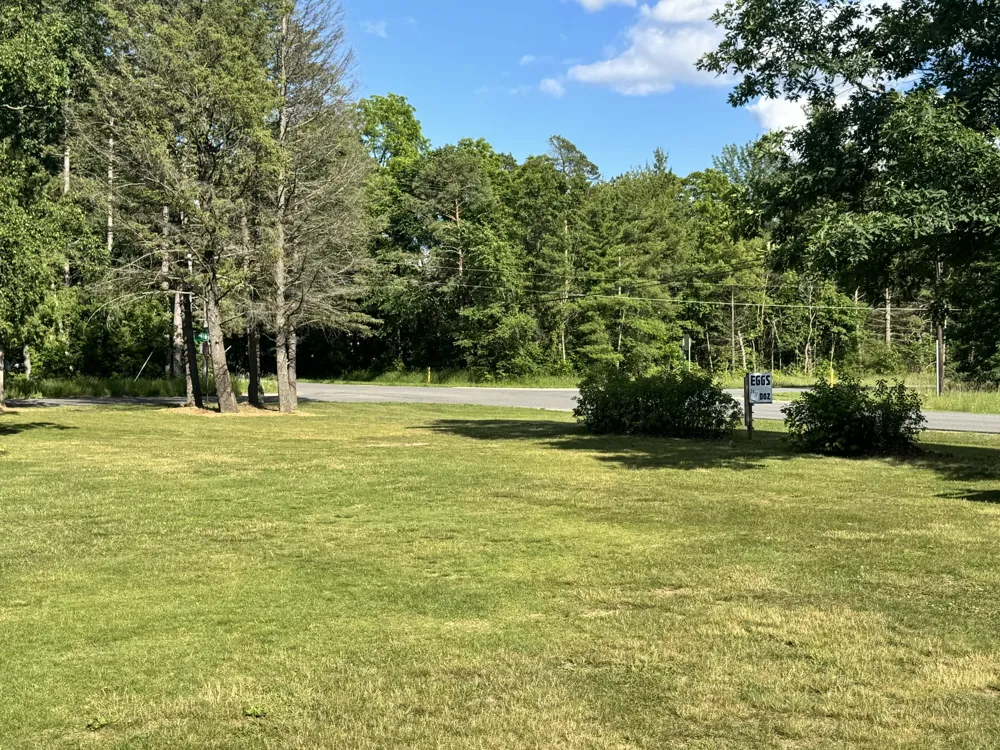 19030 W Almy Road Reynolds Township, MI 49329