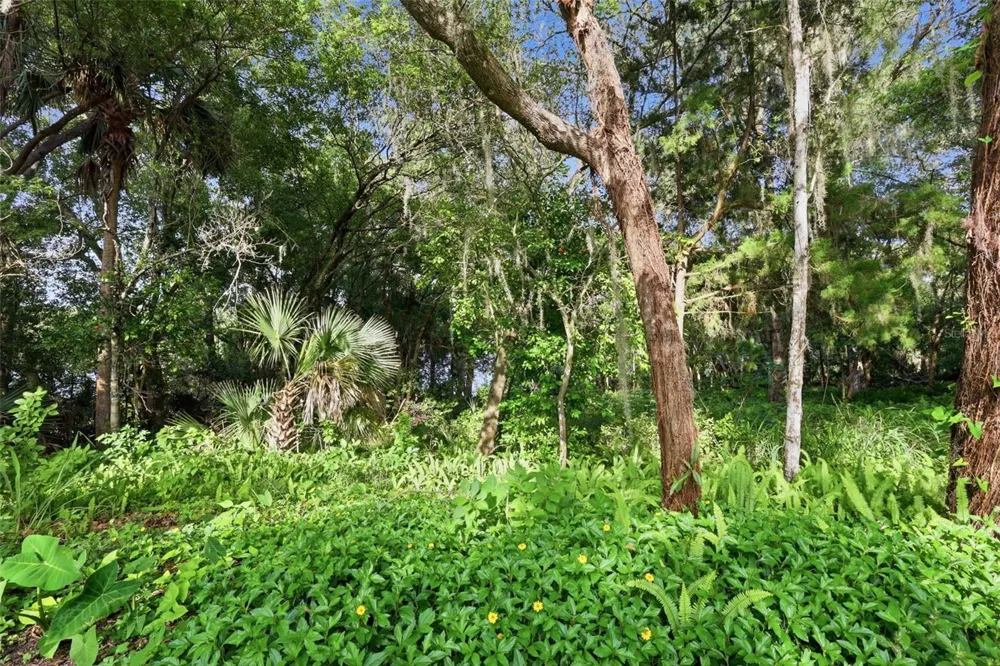 VISTA STREET Lake Helen, FL 32744
