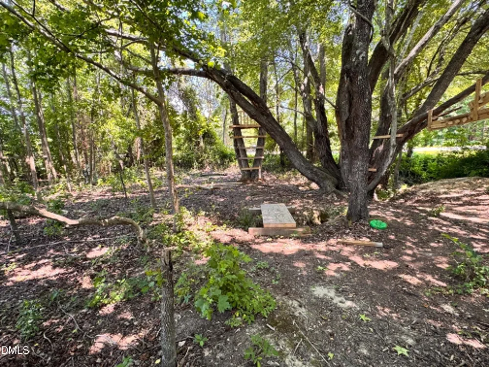 28 Harvey B Duncan Drive Timberlake, NC 27583