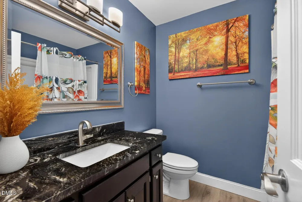405 Lookout Point Rougemont, NC 27572