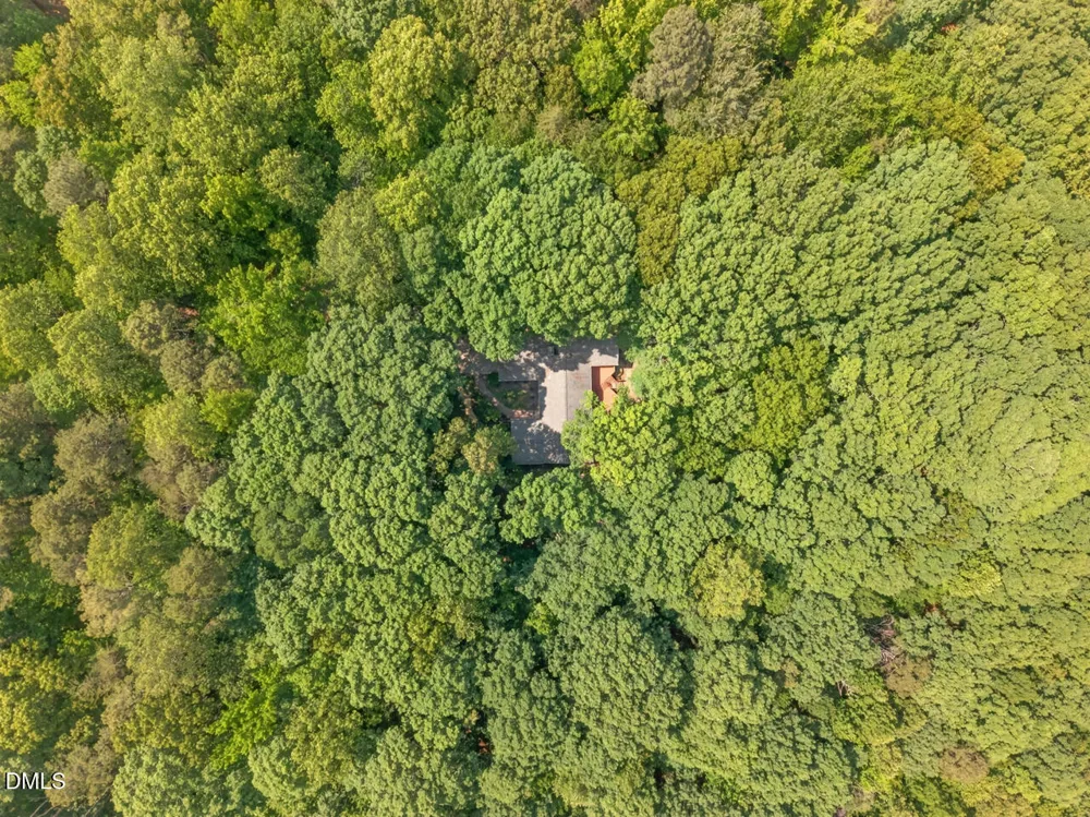 405 Lookout Point Rougemont, NC 27572