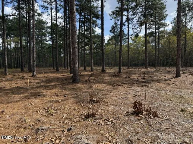 27 Birkdale Way Pinehurst, NC 28374