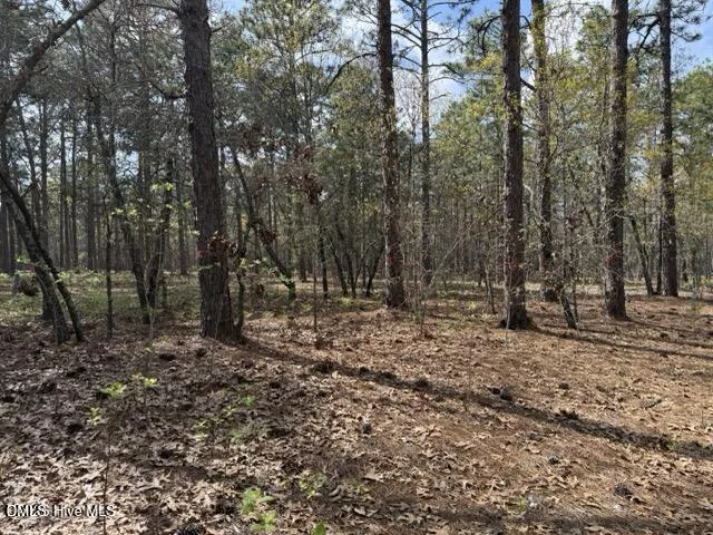 27 Birkdale Way Pinehurst, NC 28374