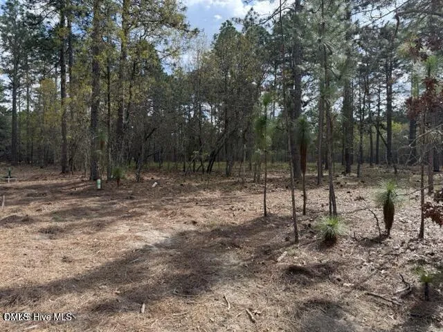 27 Birkdale Way Pinehurst, NC 28374