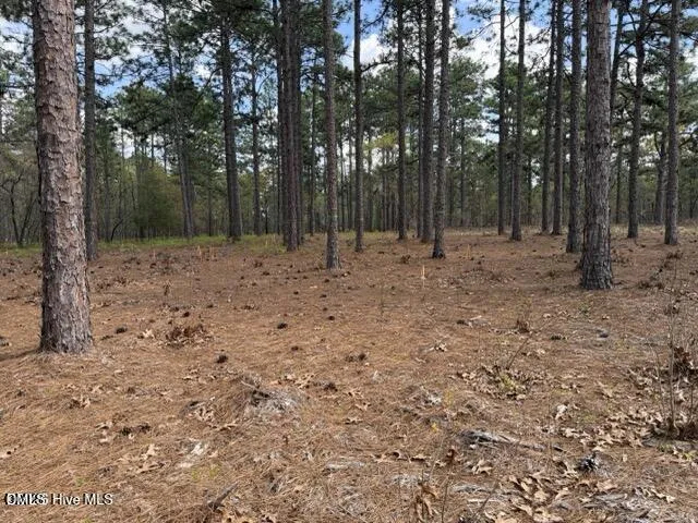 27 Birkdale Way Pinehurst, NC 28374