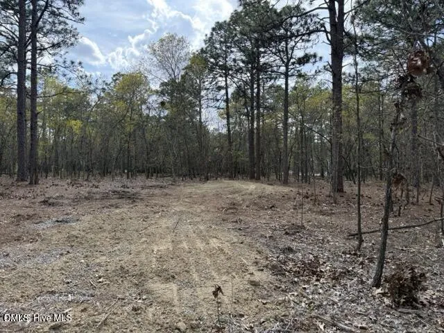 27 Birkdale Way Pinehurst, NC 28374
