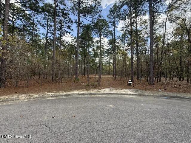 27 Birkdale Way Pinehurst, NC 28374