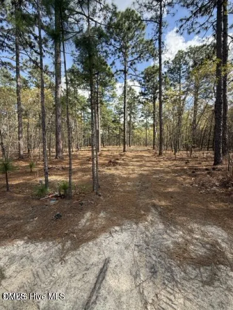 27 Birkdale Way Pinehurst, NC 28374