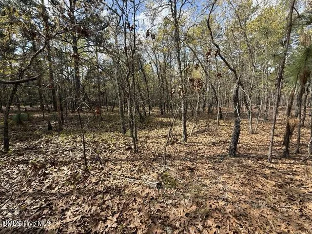 27 Birkdale Way Pinehurst, NC 28374