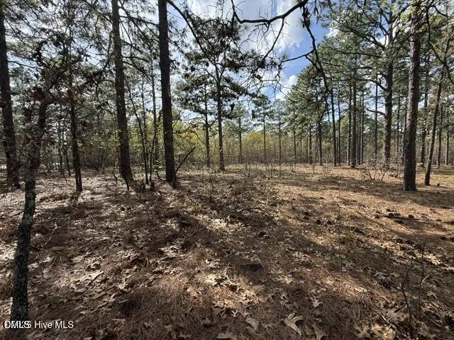 27 Birkdale Way Pinehurst, NC 28374