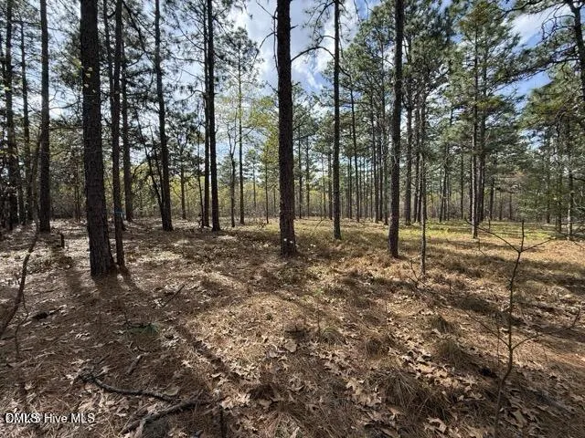 27 Birkdale Way Pinehurst, NC 28374