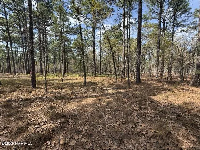 27 Birkdale Way Pinehurst, NC 28374