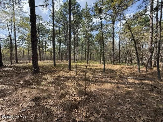 27 Birkdale Way Pinehurst, NC 28374