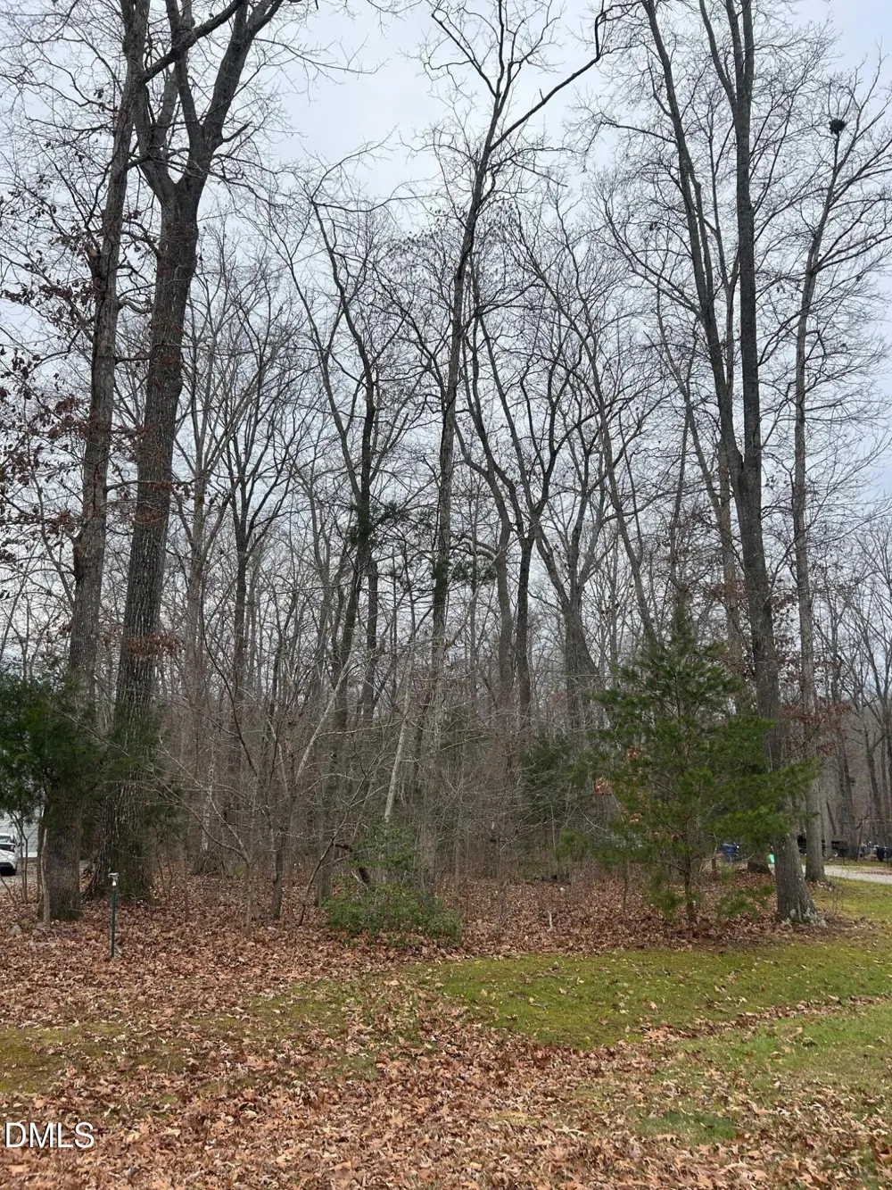 00 Weaver Ridge Road Rougemont, NC 27572