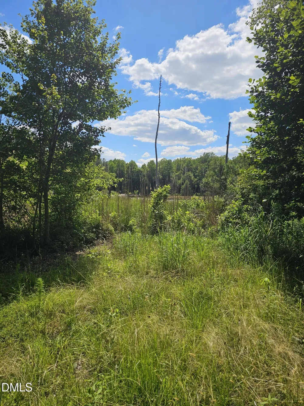 000 Madison Court Bailey, NC 27807