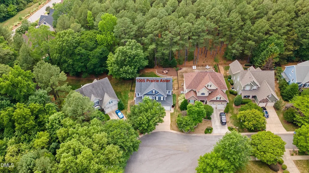 1005 Prairie Aster Court Wake Forest, NC 27587