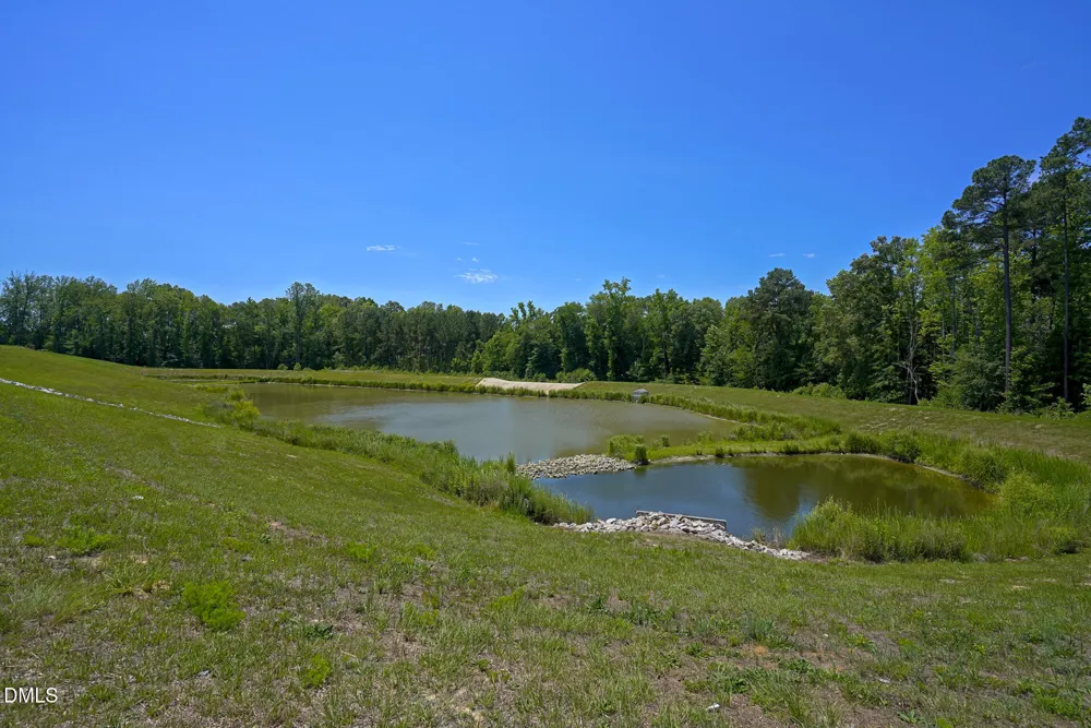 1183 Cottonsprings Drive Wendell, NC 27591